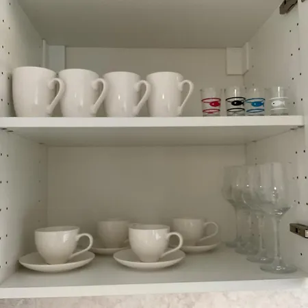 Omorika Na Zamkowej Cracovia