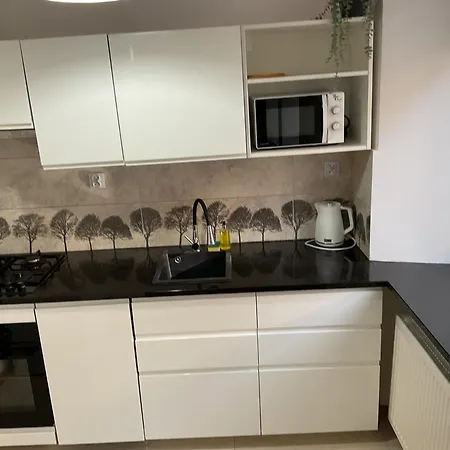 Omorika Na Zamkowej * 크라쿠프