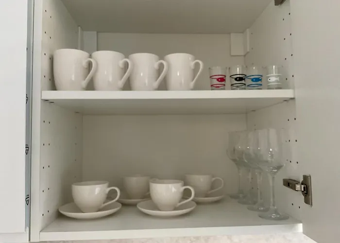 Omorika Na Zamkowej Cracovia