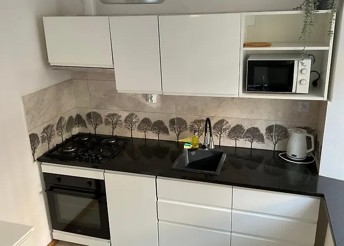 Apartamento Omorika Na Zamkowej *