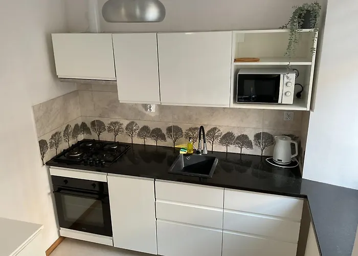 Omorika Na Zamkowej * Cracovia