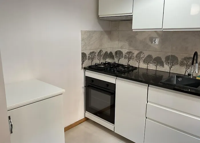 Apartamento Omorika Na Zamkowej