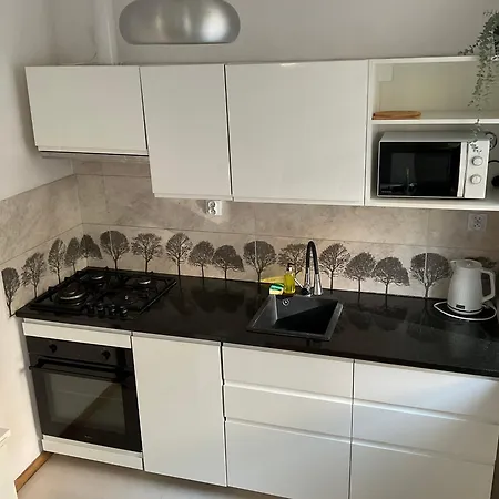 Apartment Omorika Na Zamkowej *