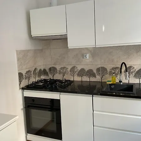 Omorika Na Zamkowej Appartement