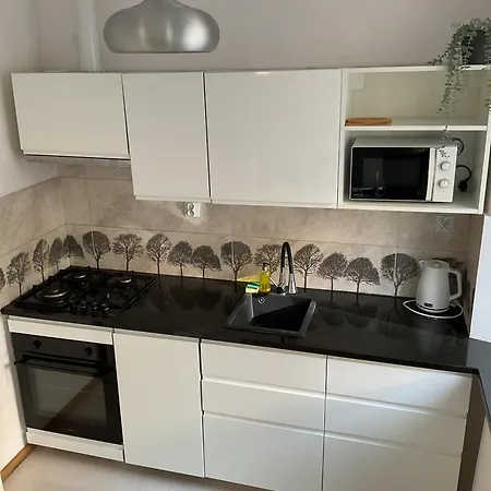 Omorika Na Zamkowej * Cracovie