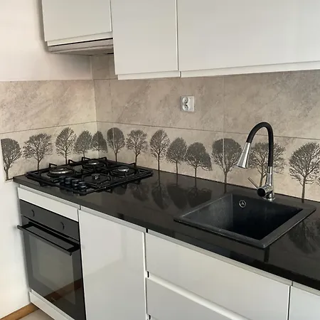 Omorika Na Zamkowej Appartement Cracovie